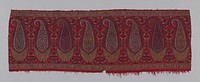 Pallu (Shawl Border) Fragment