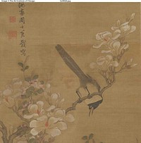 Birds and Flowers by Zhou Zhimian