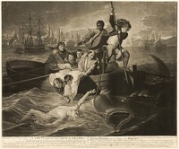 A Youth Rescued from a Shark by Valentine Green