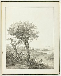 Studies of Trees for Beginning Landscape Artists (Baumstudien für Angehende Landschaftszeichner) by Maximilian Josef Wagenbauer