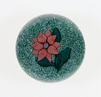 Paperweight by Compagnie de Saint Louis