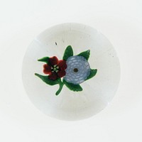 Paperweight by Compagnie de Saint Louis