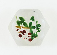 Paperweight by Compagnie de Saint Louis