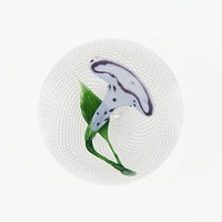 Paperweight by Clichy Glasshouse