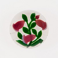 Paperweight by Baccarat Glassworks