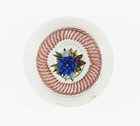 Paperweight by Compagnie de Saint Louis