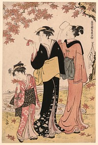 Beauties Under a Maple Tree, from the series "A Collection of Contemporary Beauties of the Pleasure Quarters (Tosei yuri bijin awase)" by Torii Kiyonaga