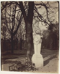 Versailles, Coin de Parc by Jean-Eugène-Auguste Atget