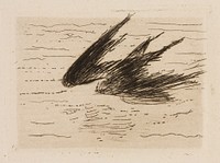 Swallows, plate 8 from Le Fleuve by Édouard Manet