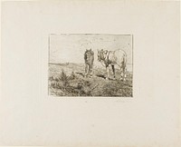 Horses' Rest by Giovanni Fattori