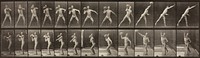 Animal Locomotion, Plate 319 by Eadweard Muybridge