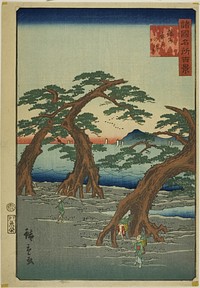 Maiko Beach, Banshu Province (Banshu Maiko no hama) from the series “One Hundred Famous Views in the Various Provinces (Shokoku meisho hyakkei)” by Utagawa Hiroshige II (Shigenobu)