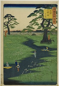 Kikyo Plain, Shinshu Province (Shinshu Kikyogahara) from the series “One Hundred Famous Views in the Various Provinces (Shokoku meisho hyakkei)” by Utagawa Hiroshige II (Shigenobu)