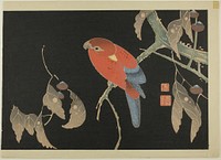 Red Parrot on the Branch of a Tree by Ito Jakuchu