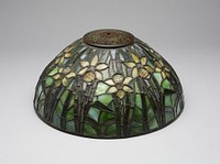 Lamp (shade) by Tiffany Glass & Decorating Company (Manufacturer)