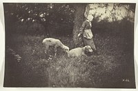 Shepherdess Leaning Against a Tree, with Two Sheep by Giraudon's Artist