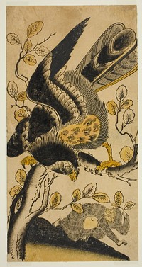 Eagle and Monkey by Nishimura Shigenaga