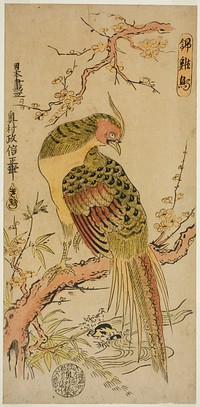 Golden Pheasant (Kinkeicho) by Okumura Masanobu