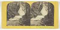 Lick Brook, near Ithaca, N.Y. Falls upper end of the Ravine by J.C. Burritt