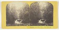 Cascadilla Creek, Ithaca, N.Y. Cascade above dam by J.C. Burritt