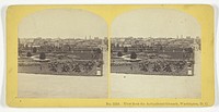View from the Agricultural Grounds, Washington, D.C. by Kilburn Brothers