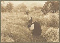 Early Morn, from the portfolio "American Pictorial Photography, Series I" (1899); edition 146/150 by Alfred Stieglitz