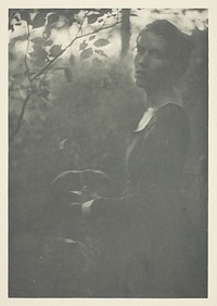 Edge of Woods, No. 10 from the portfolio "American Pictorial Photography, Series II” (1901); edition 34/150 by Clarence H. White