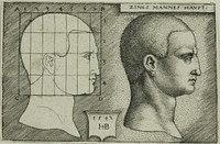 Profile Study of Man's Head by Hans Sebald Beham