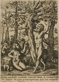 The Garden of Eden by Wenceslaus Hollar