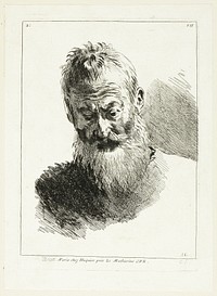 Man's Head by Anne Claude Philippe Caylus