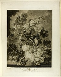 A Fruit Piece, from The Houghton Gallery by Richard Earlom