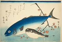 Yellowtail, blowfish, and plum branch by Utagawa Hiroshige