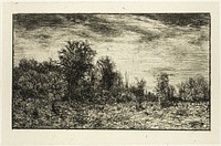 Edge of a Wood, under Cloudy Sky by Charles Émile Jacque