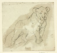 Five Sketches of Lions: Standing Cub by Henry Stacy Marks