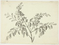 The Flowering Branch by Pierre Antoine Mongin