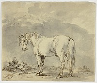 Standing Horse with Head Turned by Sawrey Gilpin