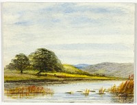 Marshy Landscape by Unknown artist