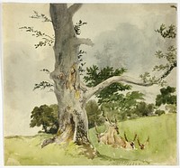 Family of Deer under a Tree by Robert Hills