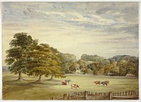 Six Cows Grazing before Country House by Elizabeth Murray