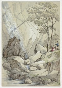 Powerscourt Waterfall by Elizabeth Murray