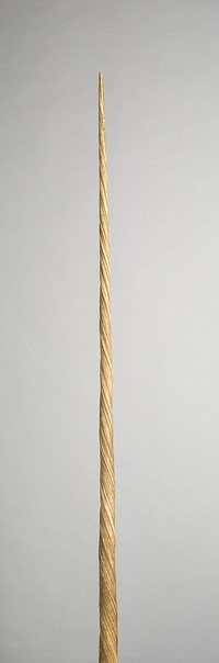 Narwhal Tusk