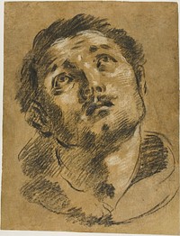 Head of Saint Stephen: Study for the Martyrdom of Saint Stephen by Jacopo Cavedone