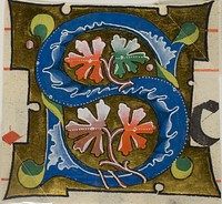 Decorated Initial "S" with Flowers from a Choirbook