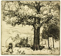 The Great Oak by Donald Shaw MacLaughlan