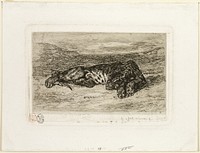 Tiger Resting in the Desert by Eugène Delacroix