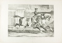 Horses Exercising, plate 6 from Various Subjects Drawn from Life on Stone by Jean Louis André Théodore Géricault