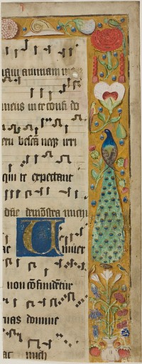 Peacock, Birds, Flowers, Fruit and a Snail in a Decorated Border, with an Illuminated Initial "U" from a Choir Book