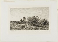 Apple Trees at Auvers by Charles François Daubigny