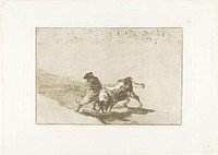 The Very Skilful Student of Falces, Wrapped in his Cape, Tricks the Bull with the Play of his Body, plate 14 from The Art of Bullfighting by Francisco José de Goya y Lucientes