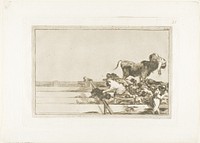 Dreadful events in the front rows of the ring at Madrid, and death of the mayor of Torrejón, plate 21 from The Art of Bullfighting by Francisco José de Goya y Lucientes